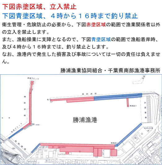 勝浦漁港　釣り禁止エリア・時間